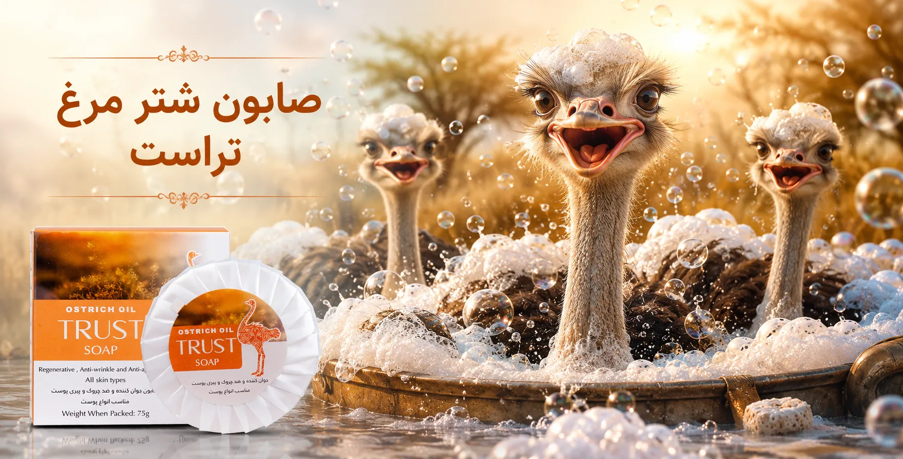 بنر5-تراست